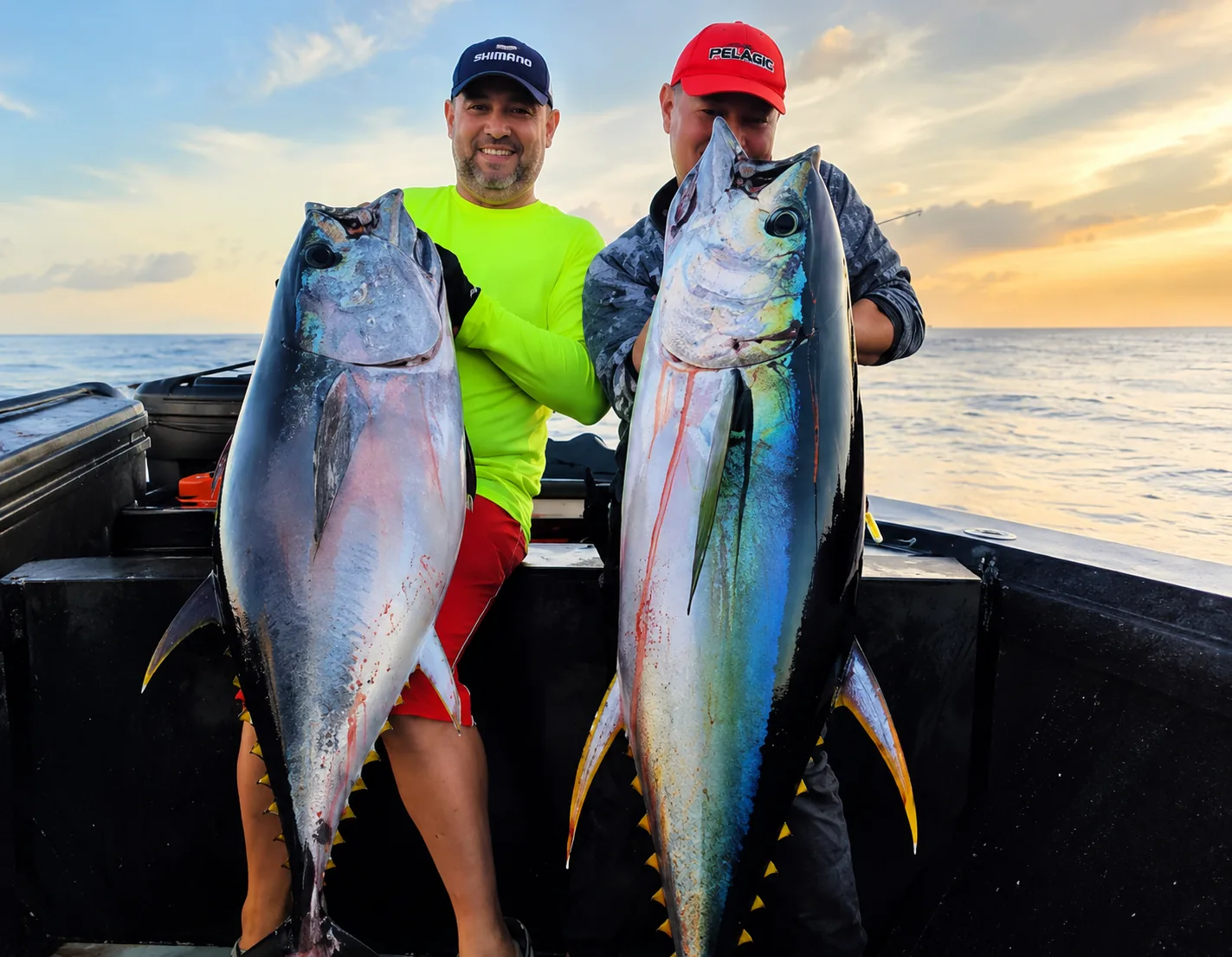Pescadores com captura real em operação de pesca